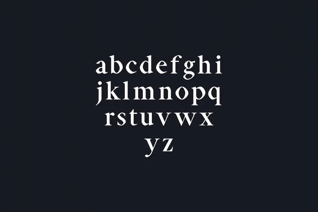 Aara-Serif-Font-Preview-2