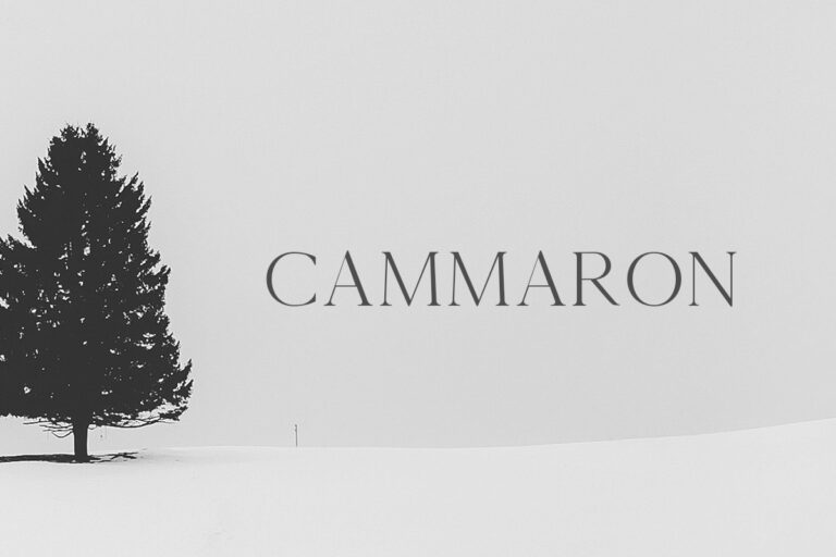 Cammron Serif Font Feature Image