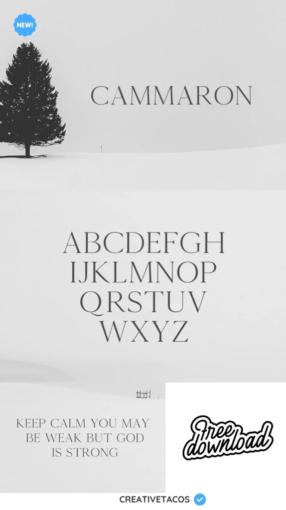 Cammron Serif Font Pinterest Image