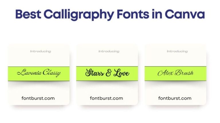 15 Best Calligraphy Fonts in Canva