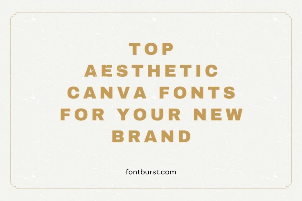 Top Aesthetic Canva Fonts for Your New Brand - Font Burst