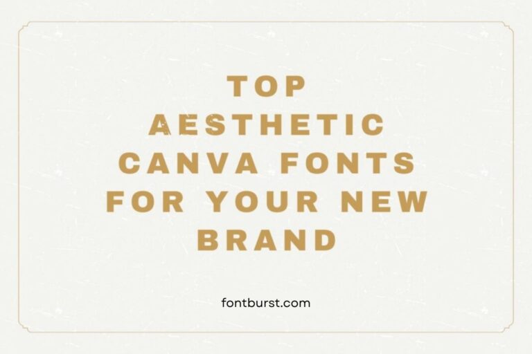 Top Aesthetic Canva Fonts for Your New Brand