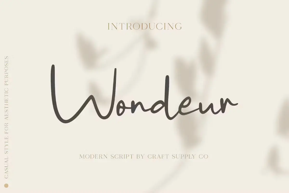 25+ Beautiful Modern Script Fonts | Typefaces for 2026 - Font Burst